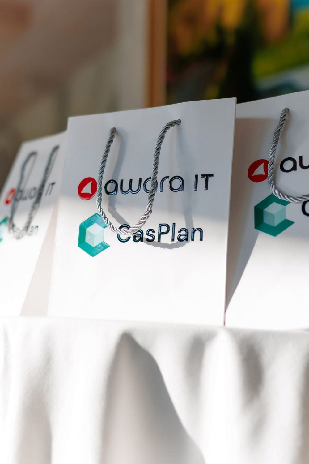 Awara IT & Caspian Planning Technologies business dinner